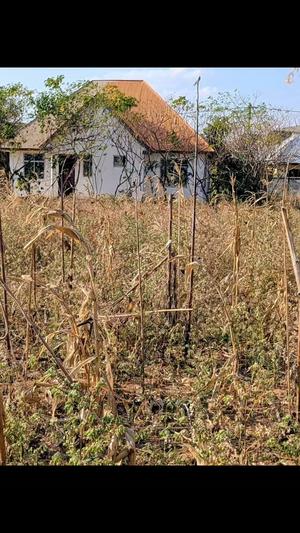Kiwanja kinauzwa Mkonze, Dodoma (751 sqm)