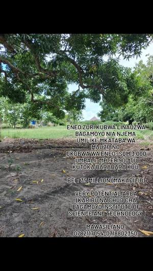 Kiwanja (Commercial Plot) kinauzwa Bagamoyo, Pwani (3000 sqm) Kiwanja (Commercial Plot) kinauzwa Bagamoyo, Pwani (3000 sqm)