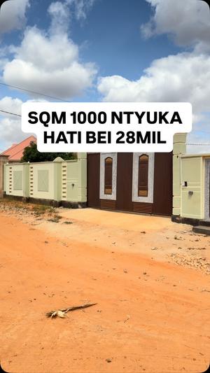 Kiwanja kinauzwa Ntyuka, Dodoma sqm 1000 Kiwanja kinauzwa Ntyuka, Dodoma sqm 1000