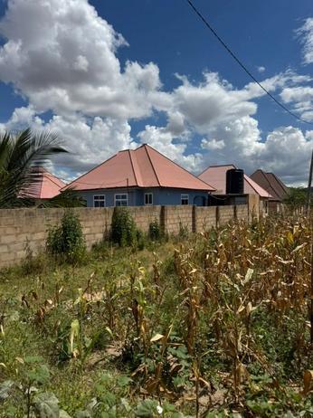 Kiwanja kinauzwa Ntyuka Centre, Dodoma (502 sqm)