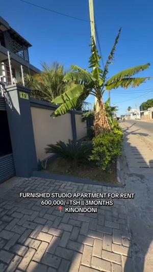 Furnished Apartment for Rent in Kinondoni Mango Garden, Dar Es Salaam Furnished Apartment for Rent in Kinondoni Mango Garden, Dar Es Salaam