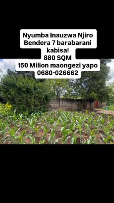 Nyumba inauzwa Njiro Bendera, Arusha (880 sqm) Nyumba inauzwa Njiro Bendera, Arusha (880 sqm)