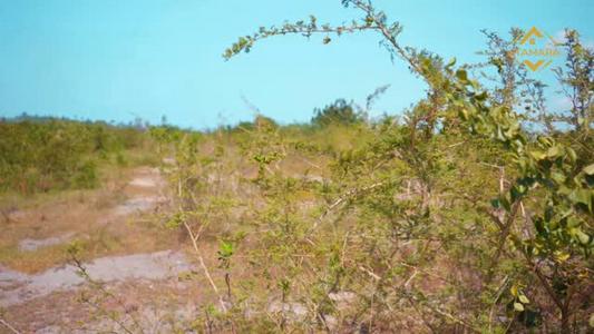 Beach Plot kinauzwa Mbweni, Dar Es Salaam (1687 sqm) Beach Plot kinauzwa Mbweni, Dar Es Salaam (1687 sqm)