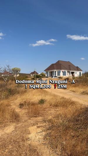 Plot for sale in Nzuguni A, Dodoma sqm 1200 Plot for sale in Nzuguni A, Dodoma sqm 1200