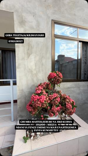 1 Bedroom House for Rent in Goba, Mbezi, Dar Es Salaam 1 Bedroom House for Rent in Goba, Mbezi, Dar Es Salaam