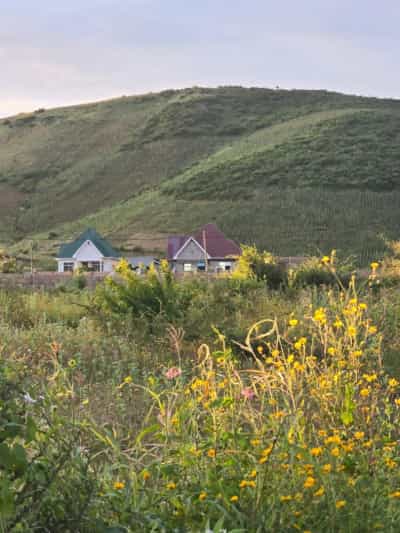 Kiwanja kinauzwa Udom Roman, Dodoma (600 sqm)