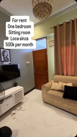 Apartment ya chumba kimoja inapangishwa Sinza Madukani, Dar Es Salaam