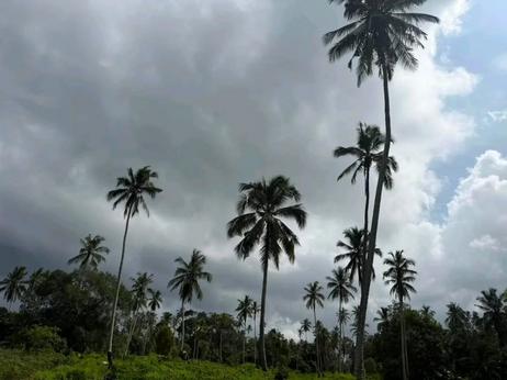 Viwanja vinauzwa Dole, Zanzibar - Unguja North (2500 sqm)
