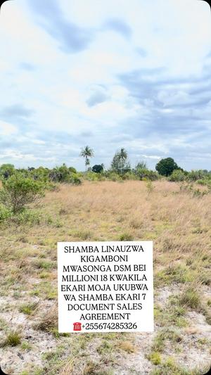 Farm for Sale in Kigamboni Mwasonge, Dar Es Salaam (7 acre) Farm for Sale in Kigamboni Mwasonge, Dar Es Salaam (7 acre)