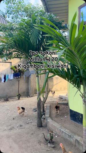 3 Bedrooms House for sale in Kigamboni, Dar Es Salaam 3 Bedrooms House for sale in Kigamboni, Dar Es Salaam