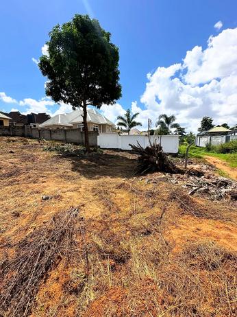 Residential/Commercial Plot for Sale in Tabata Bonyokwa Macedonia, Dar Es Salaam (850 sqm)