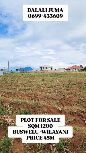 Kiwanja kinauzwa Buswelu, Mwanza sqm 1200