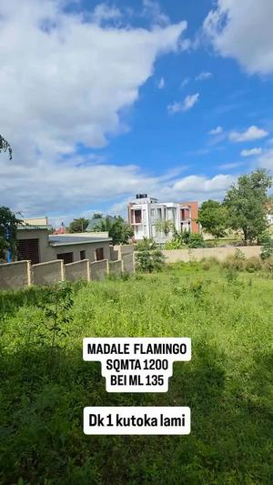 Kiwanja kinauzwa Madale Flamingo, Dar Es Salaam sqm 1200 Kiwanja kinauzwa Madale Flamingo, Dar Es Salaam sqm 1200