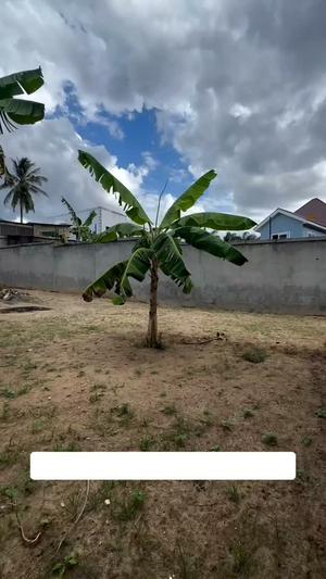 Plot for sale in Goba Njia Nne, Dar Es Salaam sqm 700 Plot for sale in Goba Njia Nne, Dar Es Salaam sqm 700