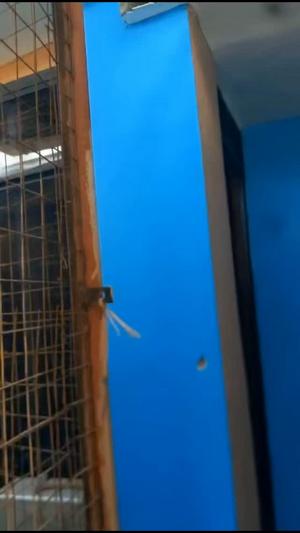 1 Bedroom House for Rent in Kigamboni, Dar Es Salaam 1 Bedroom House for Rent in Kigamboni, Dar Es Salaam