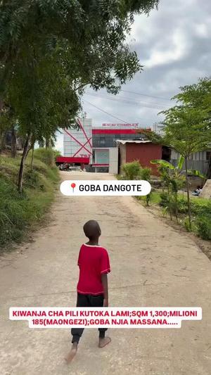 Plot for sale in Goba Dangote Njia Massana, Dar Es Salaam sqm 1300 Plot for sale in Goba Dangote Njia Massana, Dar Es Salaam sqm 1300