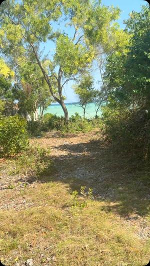 Plot for sale in Nungwi, Zanzibar - Unguja North sqm 2800 Plot for sale in Nungwi, Zanzibar - Unguja North sqm 2800