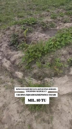 Kiwanja kinauzwa Kibaha Loliondo, Pwani sqm 600