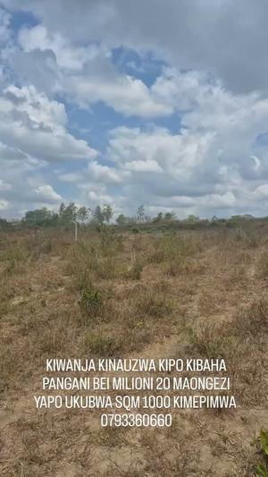 Kiwanja kinauzwa Kibaha Pangani, Pwani (1000 sqm) Kiwanja kinauzwa Kibaha Pangani, Pwani (1000 sqm)