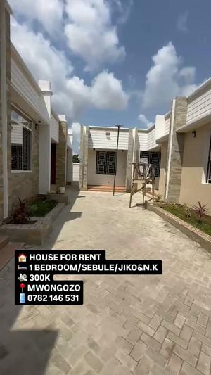 Nyumba ya chumba kimoja inapangishwa Kigamboni Mwongozo, Dar Es Salaam