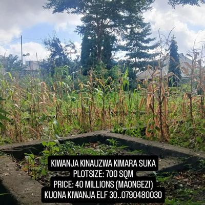 Kiwanja kinauzwa Kimara Suka, Dar Es Salaam (700 sqm) Kiwanja kinauzwa Kimara Suka, Dar Es Salaam (700 sqm)