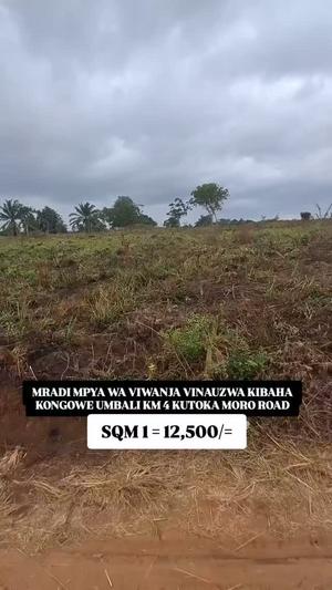 Plots for sale in Kibaha Kongowe, Pwani sqm 500 Plots for sale in Kibaha Kongowe, Pwani sqm 500