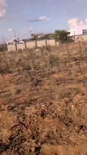 Residential Plot for Sale in Iyumbu New Town Center, Dodoma (840 sqm) Residential Plot for Sale in Iyumbu New Town Center, Dodoma (840 sqm)