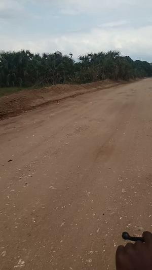 Residential Plot for Sale in Bagamoyo Kiromo, Pwani (500 sqm) Residential Plot for Sale in Bagamoyo Kiromo, Pwani (500 sqm)