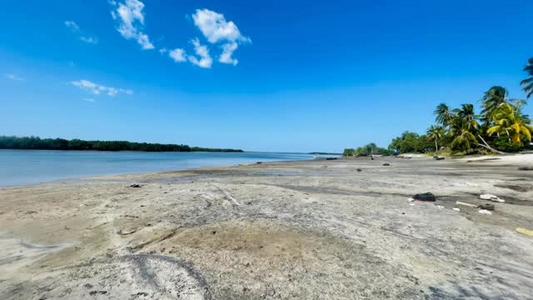 Beach Plot kinauzwa Zinga, Pwani (7300 sqm) Beach Plot kinauzwa Zinga, Pwani (7300 sqm)