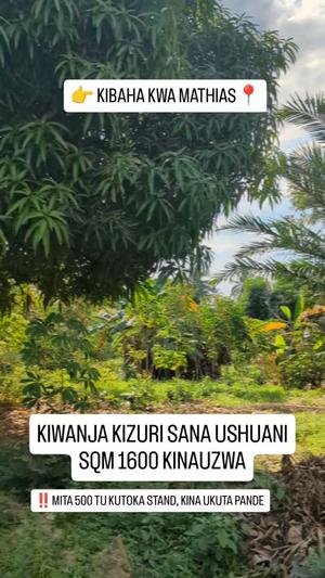 Residential Plot for Sale in Kibaha Kwa Mathias, Pwani (1600 sqm) Residential Plot for Sale in Kibaha Kwa Mathias, Pwani (1600 sqm)