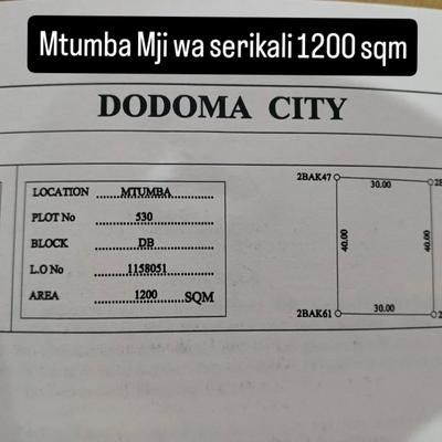 Kiwanja kinauzwa Mtumba Mji Wa Serikali, Dodoma (1200 sqm)