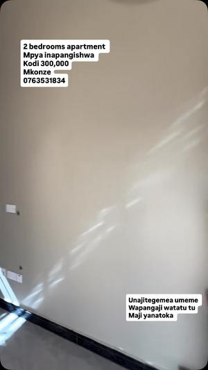 Apartment ya vyumba viwili inapangishwa Mkonze, Dodoma