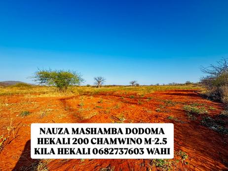 Mashamba yanauzwa Chamwino Mwegamile, Dodoma (200 acre) Mashamba yanauzwa Chamwino Mwegamile, Dodoma (200 acre)