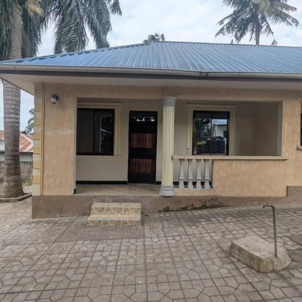 media -1 media -1