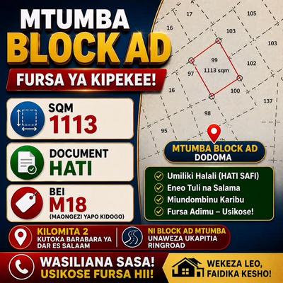 Plot for sale in Mtumba, Dodoma sqm 1113