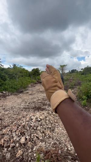 Kiwanja kinauzwa Dimani, Zanzibar - Mjini Magharibi (4800 sqm) Kiwanja kinauzwa Dimani, Zanzibar - Mjini Magharibi (4800 sqm)
