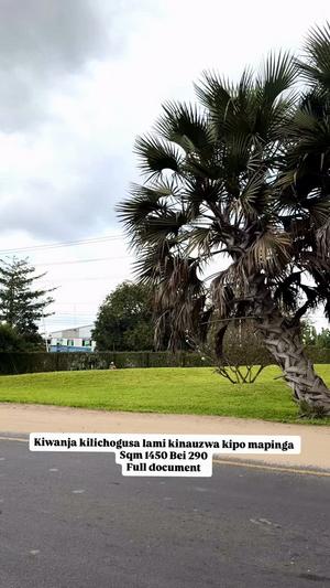 Kiwanja kinauzwa Mapinga Hell Water, Pwani (1450 sqm) Kiwanja kinauzwa Mapinga Hell Water, Pwani (1450 sqm)