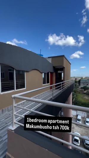 Nyumba/Apartment ya chumba kimoja inapangishwa Makumbusho, Dar Es Salaam