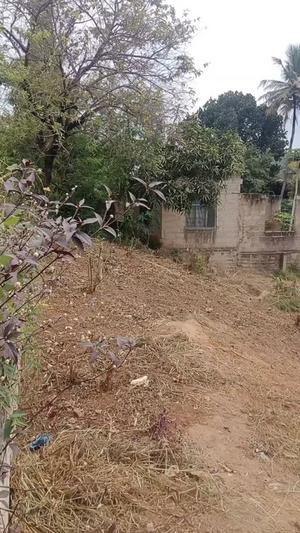Kiwanja kinauzwa Pugu Mpakani, Dar Es Salaam sqm 360 Kiwanja kinauzwa Pugu Mpakani, Dar Es Salaam sqm 360