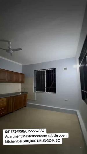 House for Rent in Ubungo Kibo, Dar Es Salaam House for Rent in Ubungo Kibo, Dar Es Salaam