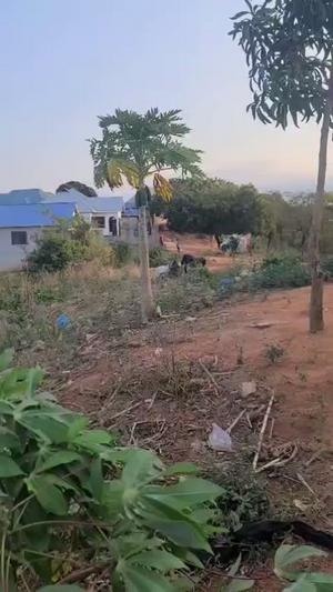 Residential Plot for Sale in Bonyokwa Mwisho, Dar Es Salaam (720 sqm) Residential Plot for Sale in Bonyokwa Mwisho, Dar Es Salaam (720 sqm)