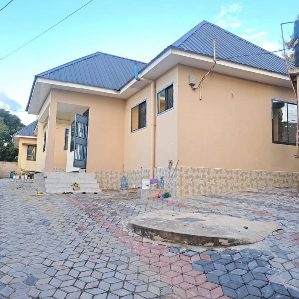 media -4