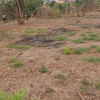 Residential Plot for Sale in Mbezi Mpiji Magohe Kwa Mzungu, Dar Es Salaam (600 sqm) Residential Plot for Sale in Mbezi Mpiji Magohe Kwa Mzungu, Dar Es Salaam (600 sqm)