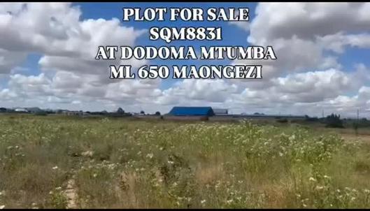 Kiwanja kinauzwa Mtumba, Dodoma sqm 8831