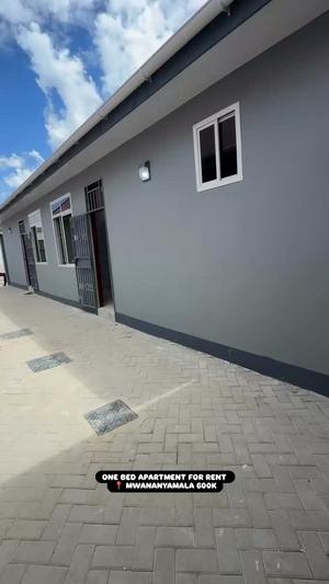 1 Bedroom House for Rent in Mwananyamala, Dar Es Salaam 1 Bedroom House for Rent in Mwananyamala, Dar Es Salaam