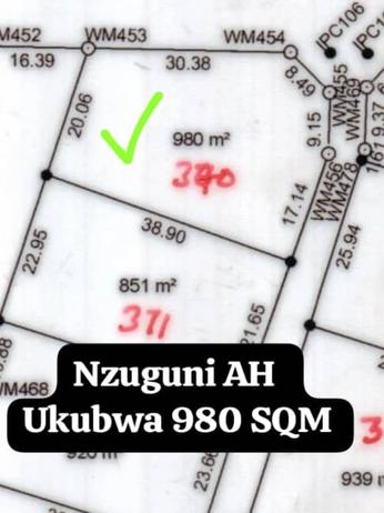Kiwanja (Residential/Commercial) kinauzwa Nzuguni, Dodoma (980 sqm)