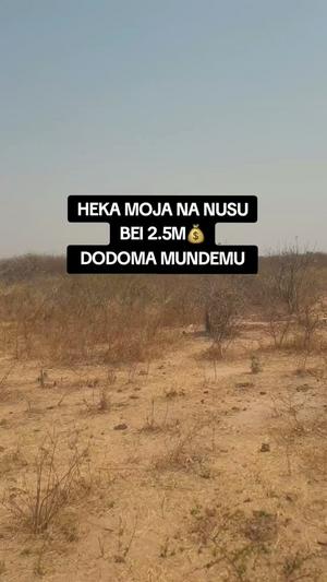 Farm for Sale in Mundemu, Dodoma (1.5 acre)