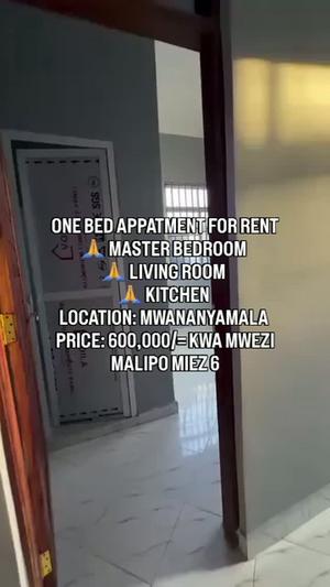 1 Bedroom Apartment for Rent in Mwananyamala, Dar Es Salaam