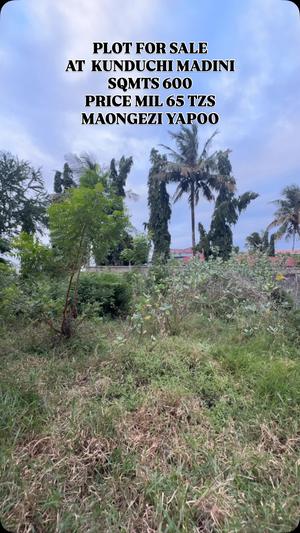 Kiwanja kinauzwa Kunduchi Madini, Dar Es Salaam sqm 600 Kiwanja kinauzwa Kunduchi Madini, Dar Es Salaam sqm 600