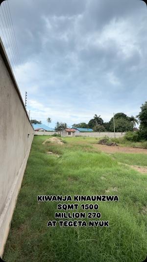 Kiwanja kinauzwa Tegeta Nyuki, Dar Es Salaam sqm 1500